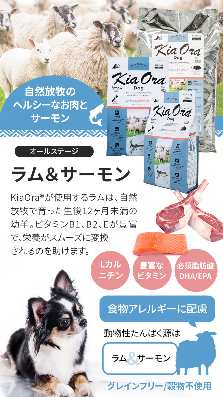 KiaOra キアオラ ドッグフード ラム&サーモン 2.7kg