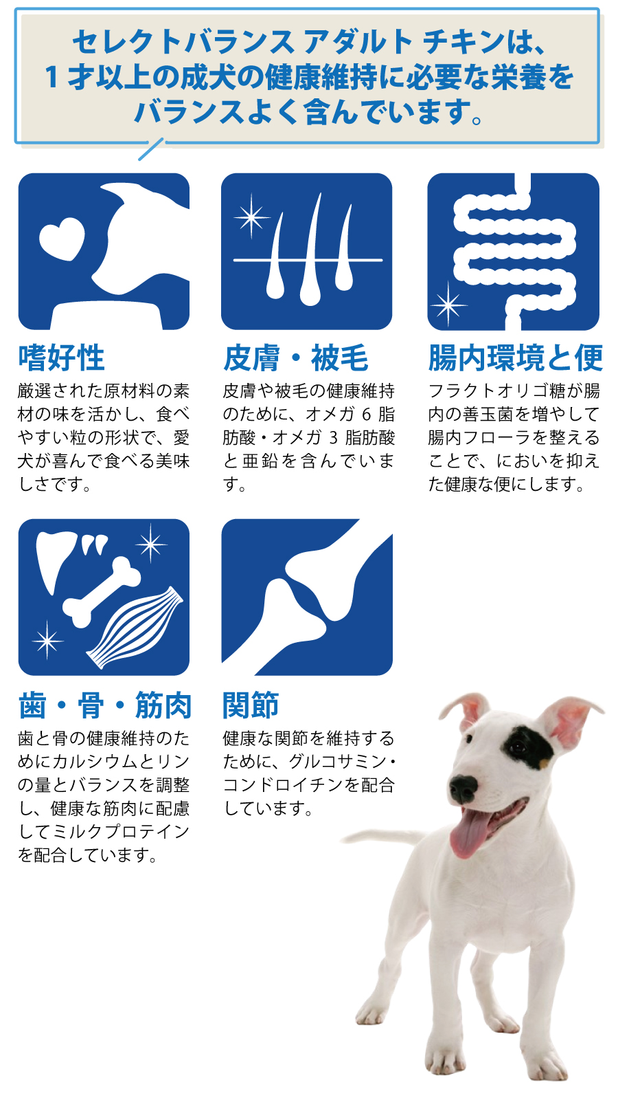 セレクトバランス アダルト チキン 小粒 7kg