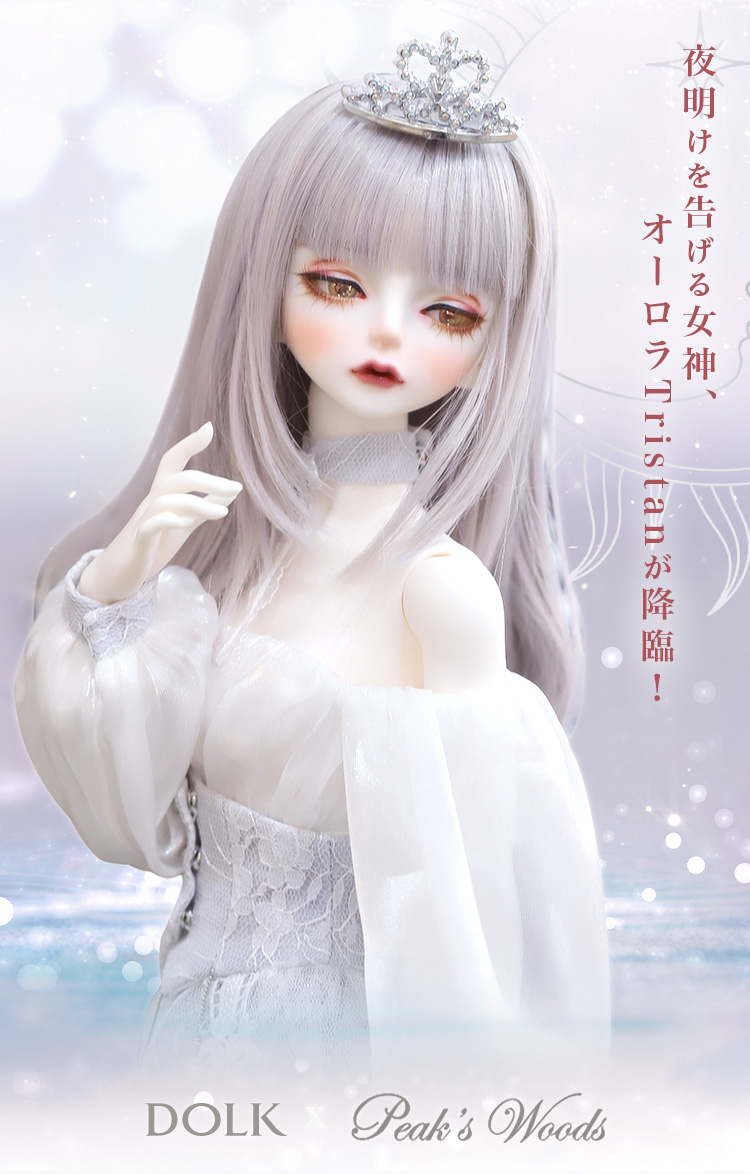 DOLK×Peaks woods｜ FOC Tristan Aurora ver. Limited 特設 - DOLK