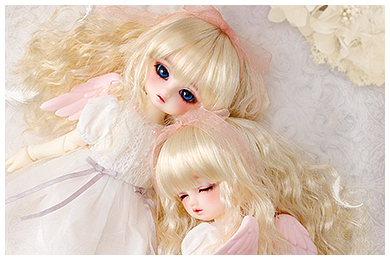 天使の里 二十周年記念フェア | ボークス公式 ドルフィー総合サイト