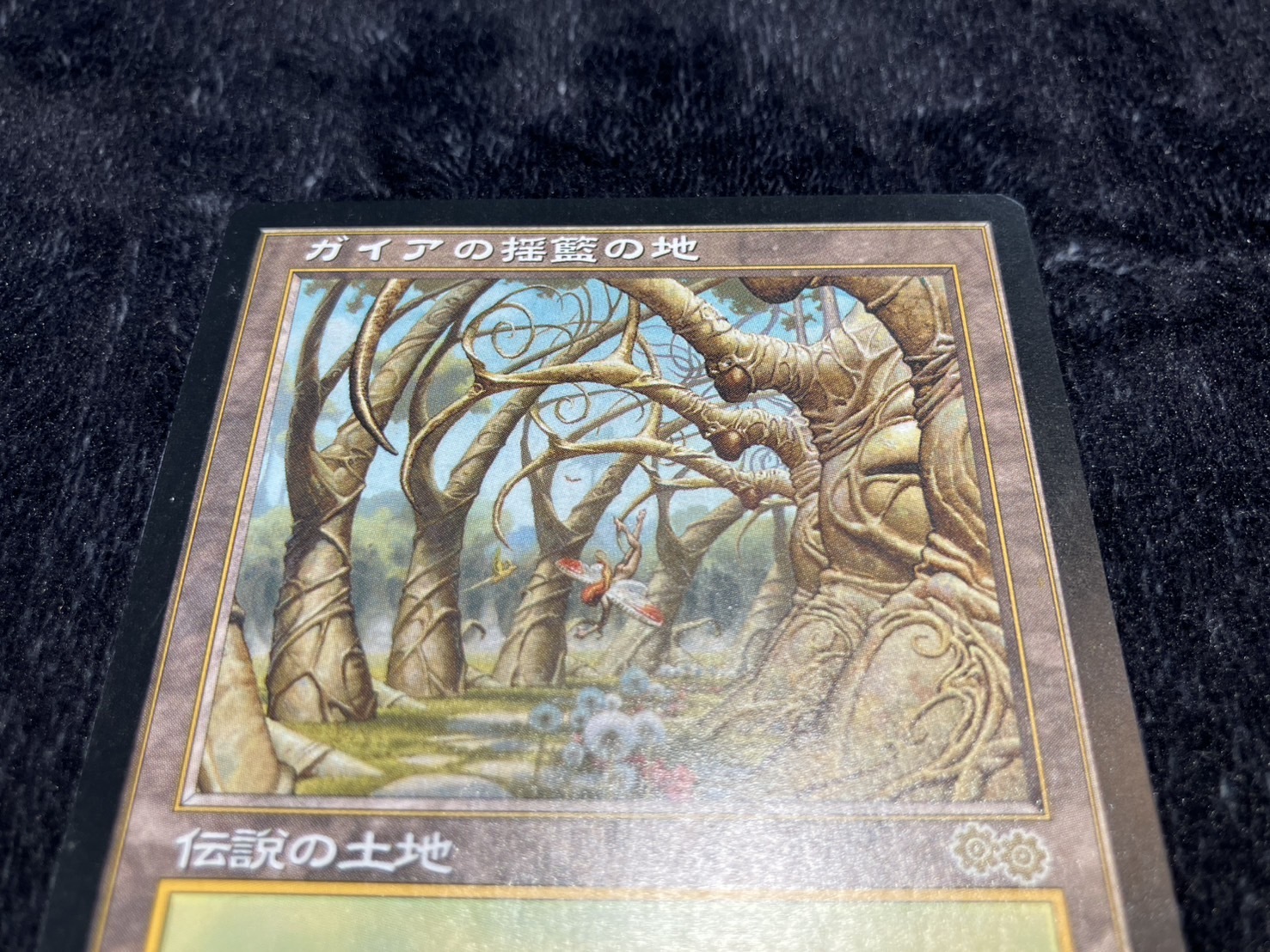 MTG ウルザズ・サーガ ガイアの揺籃の地/Gaea's Cradle 日本語 Gaea's