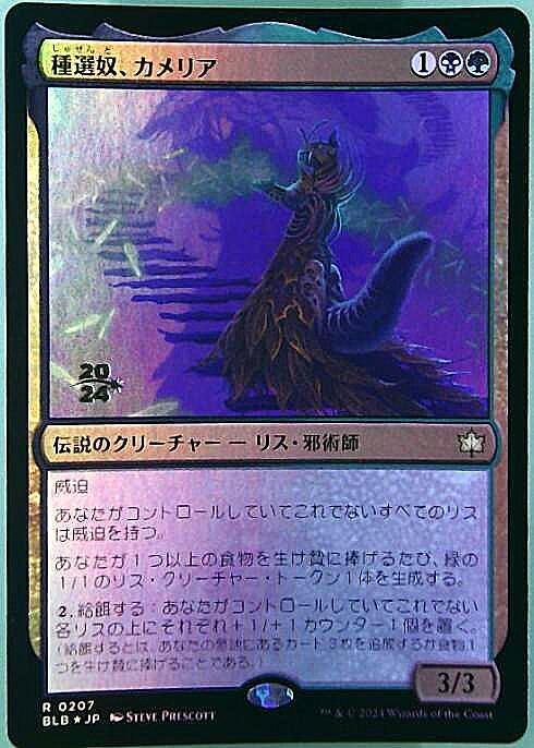 種選奴、カメリア レイズドfoil 日本語 種選奴、カメリア (Camellia