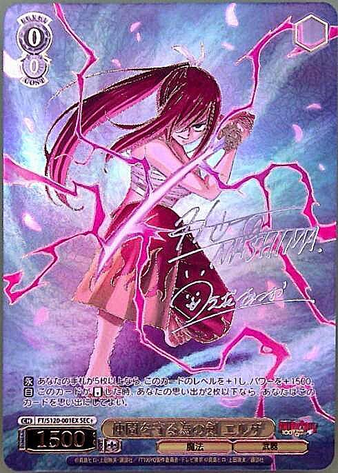 フェアリーテイル 戦いの外の日々 エルザ SSP WS 戦いの外の日々