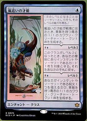 嵐追いの才能 日本語4枚 MTG 嵐追いの才能 日本語版4枚セット BLB
