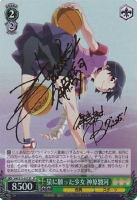 深窓の令嬢 戦場ヶ原ひたぎ SP TD サイン ヴァイスシュヴァルツ 深窓の