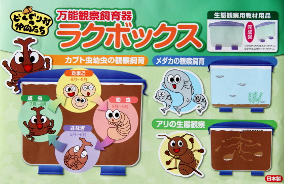 ラクぼっくすワイド 新品6個セット ラクぼっくす/ラクぼっくすWIDE