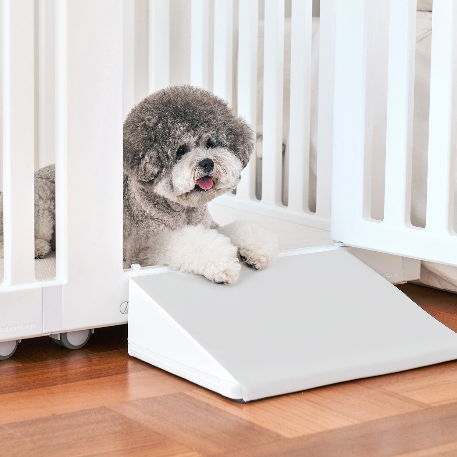 ヒュッゲラウンドペットルーム – DoriDori《ドリドリ》【公式】ベビー