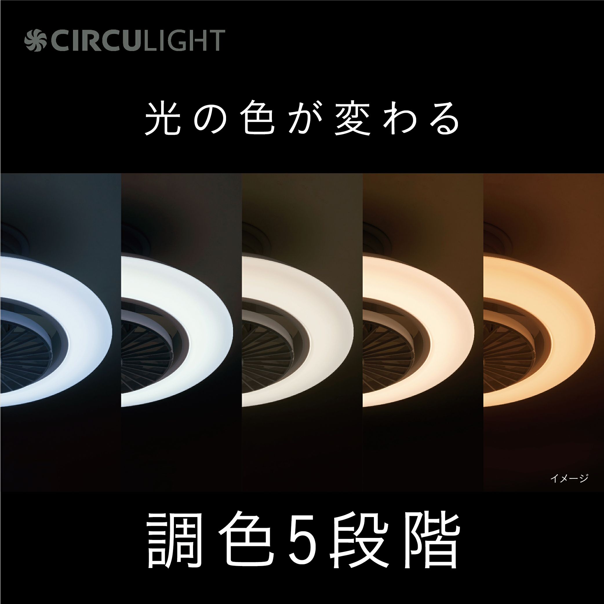 CIRCULIGHT(サーキュライト) EZシリーズ スイングモデル 6畳タイプ DCC