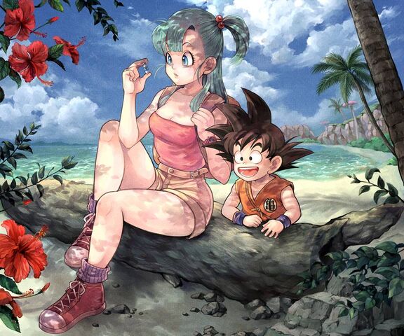 ドラゴンボール キャンバスボード 孫悟空 ブルマ ドラゴンボール