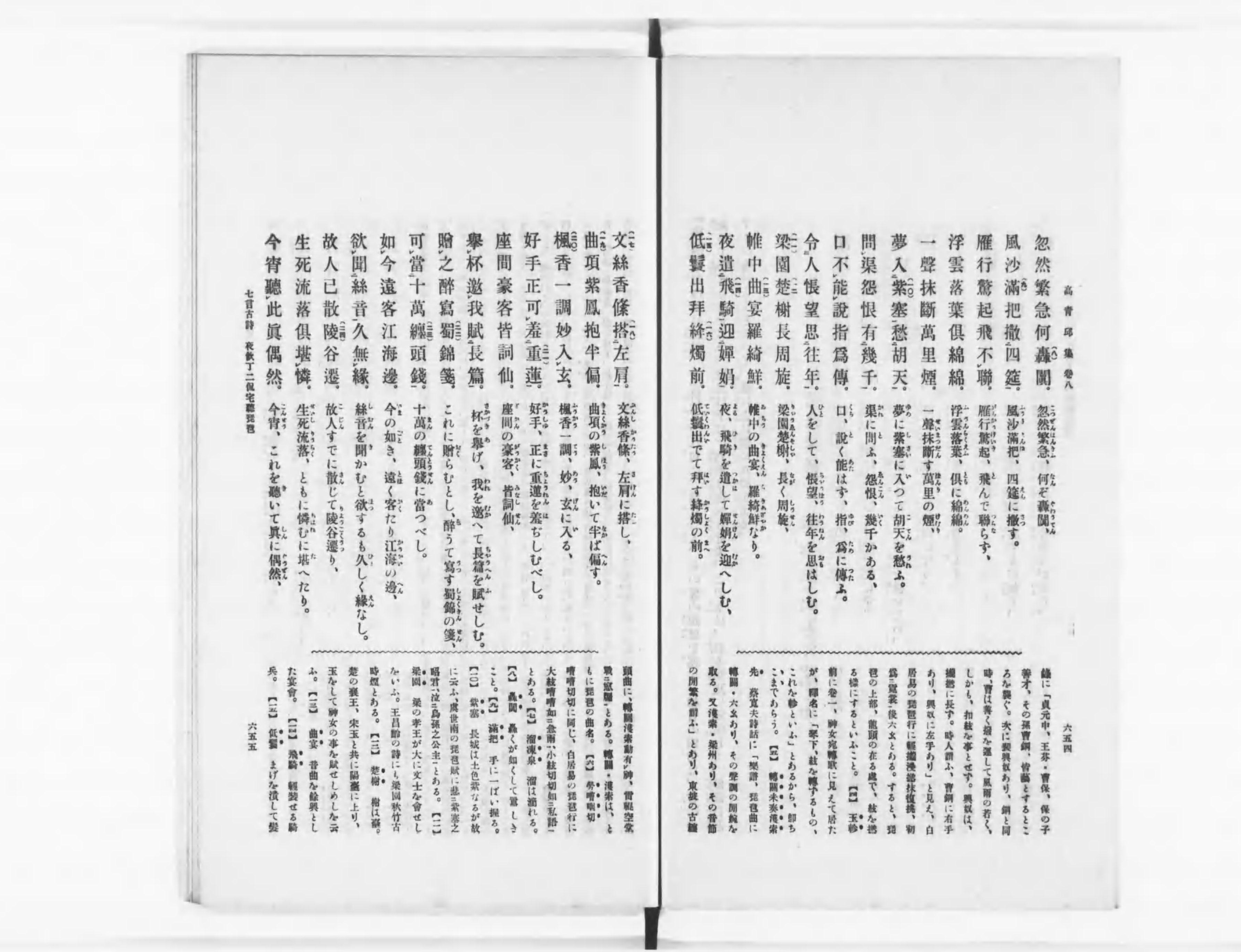 國譯漢文大成 文學部 全20巻 國譯漢文大成 國譯漢文