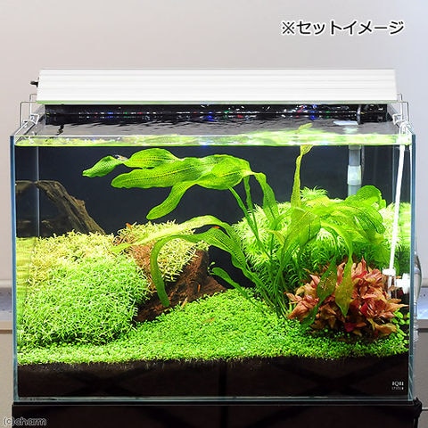 dショッピング |アクロ TRIANGLE LED GROW 600