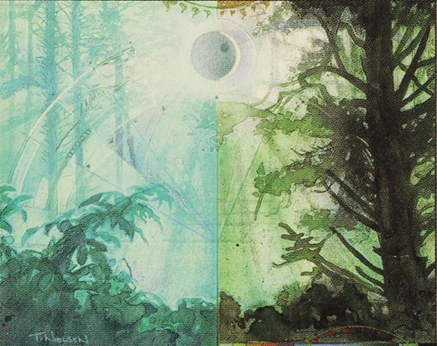 MTG グルランド 森 forest guru 森/Forest》[Guruランド] 土地 | 日本