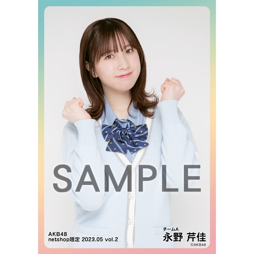 AKB48 生写真 セット 集合 ペア 店舗特典 会場特典等 約300枚 AKB48 生