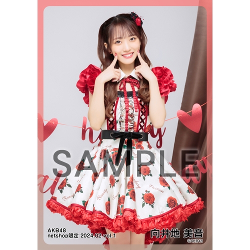 予約商品】AKB48 2024年2月度 net shop限定個別生写真5枚セットvol.1