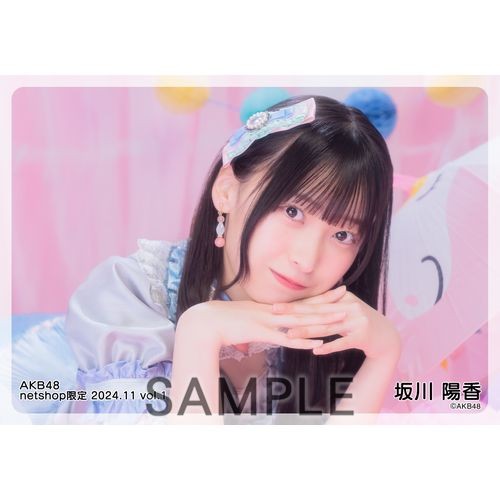 AKB48 劇場版 生写真 55枚セット まとめ売り AKB48 劇場版 生写真 55