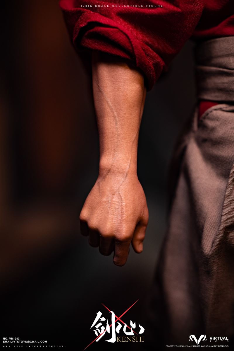 Amazon | 未開封 VTS TOYS The Wolf of Ashina VM-030 DX 葦名の