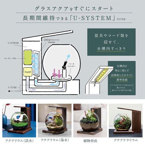 ジェックス グラスアクア PERCO B‐Dark Wood: 日用品・生活雑貨