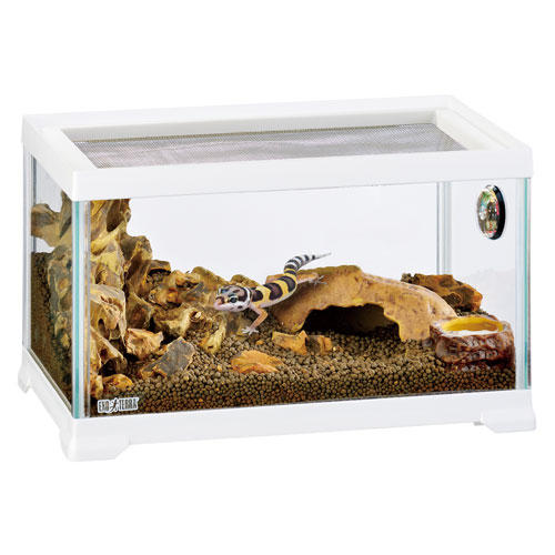 ジェックス レオパ飼育キット S 4個セット: 日用品・生活雑貨