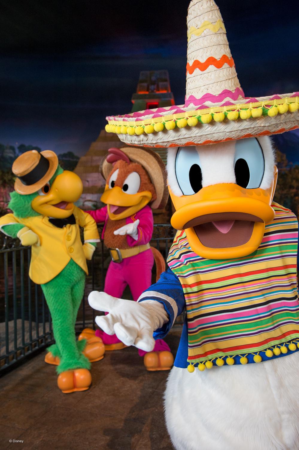 meet-donald-duck.jpg?w=1000&h=