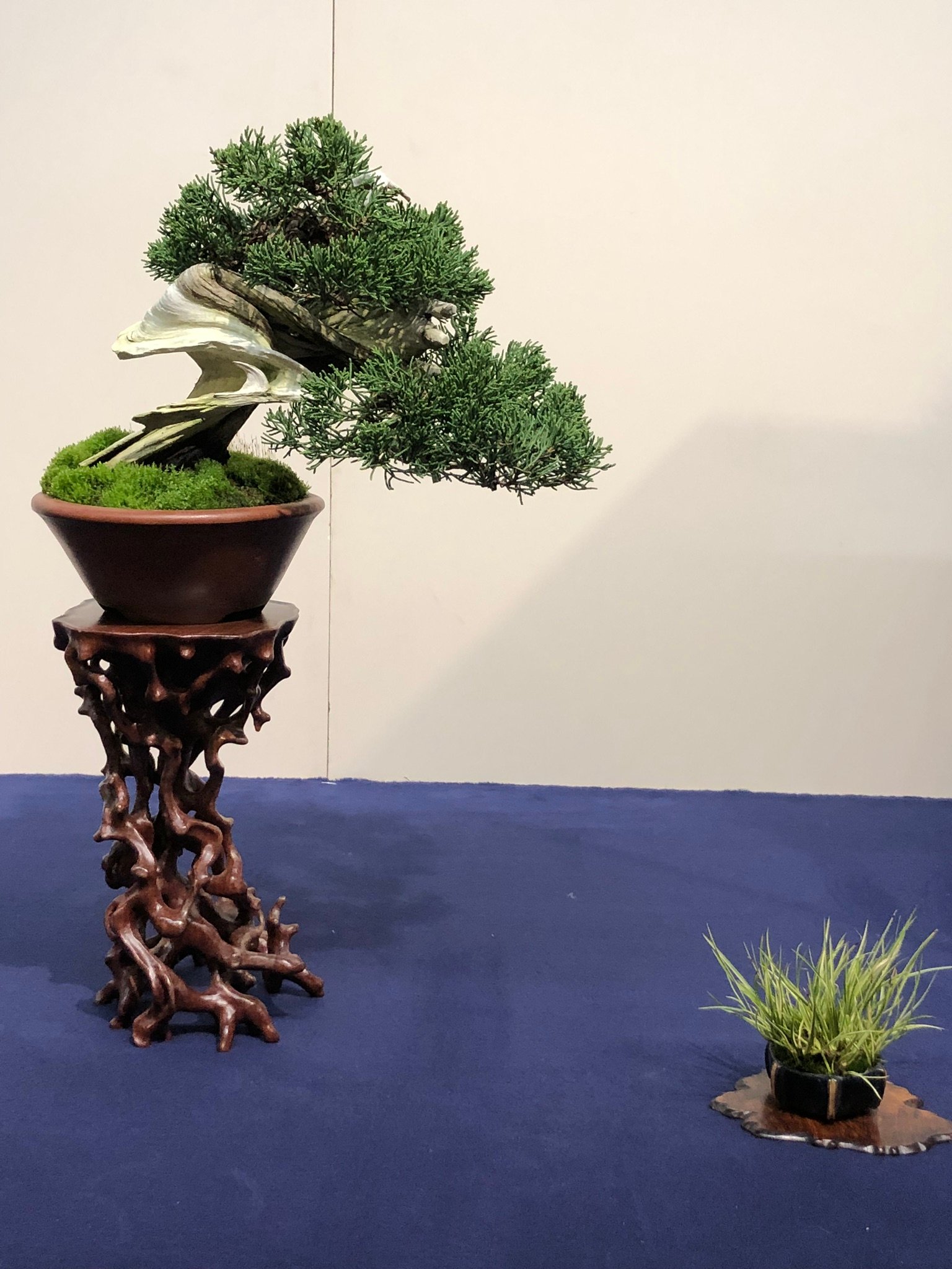 caption.jpg?w=1100&h=1100&s=1