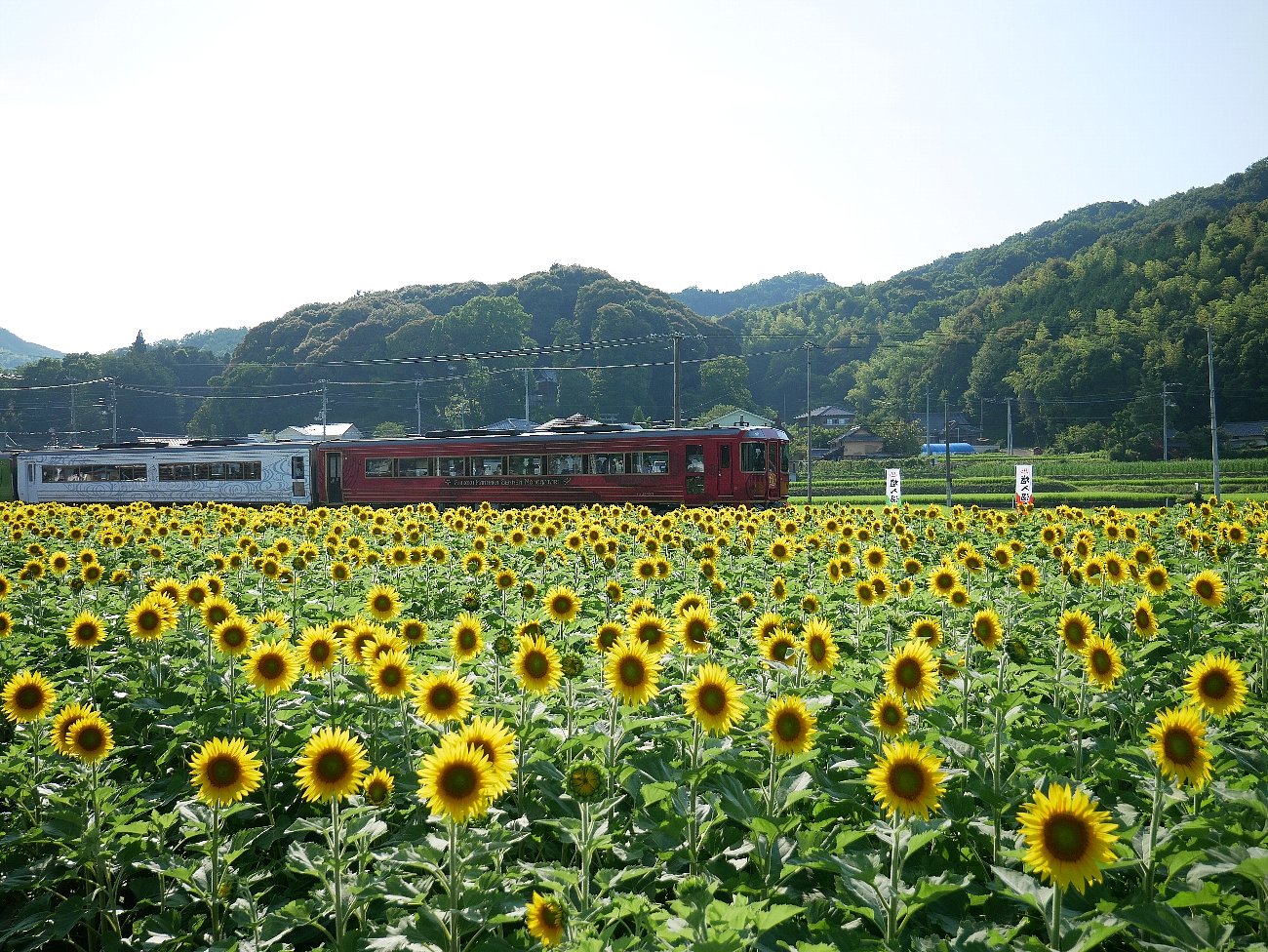 caption.jpg?w=1200&h=-1&s=1