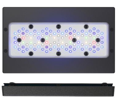 ライト・照明器具 Radion G5 BLUE ecotech-marine-radion-g5-pro-