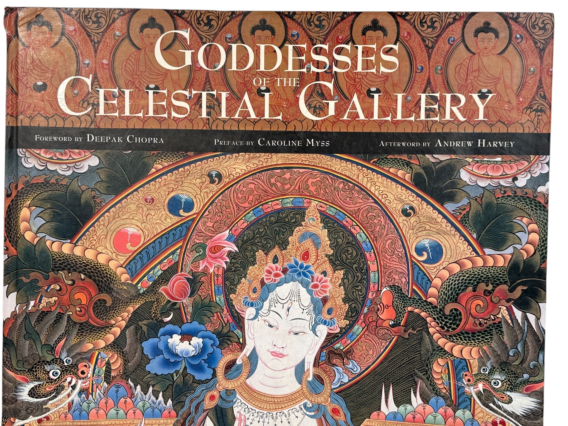 Goddesses of the Celestial Gallery – Romio Shrestha (2002) – Éco