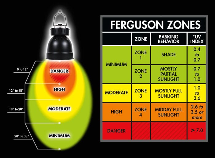 PowerSun® H.I.D. Combo | Zoo Med Laboratories, Inc.