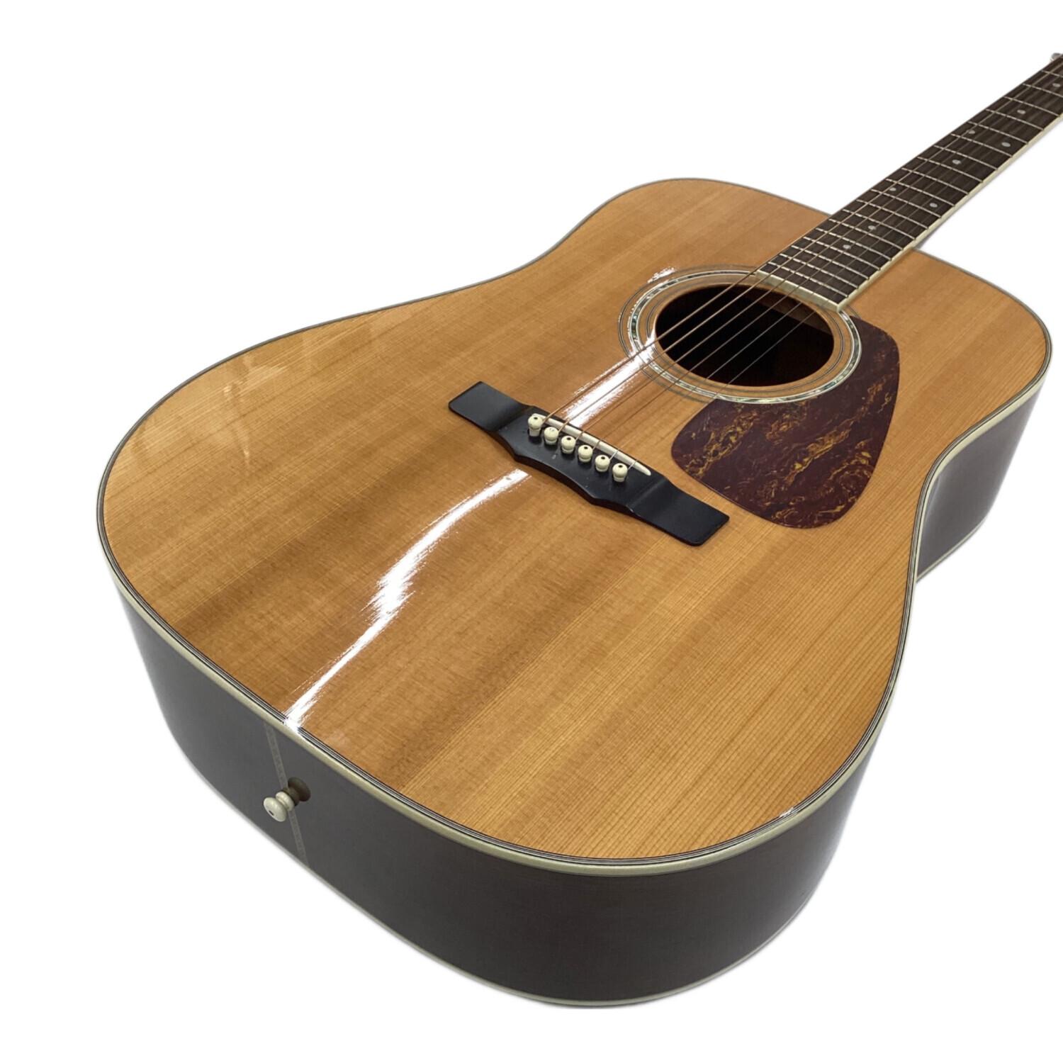 Morris モーリス アコースティックギター MD-501 ドレッドノート