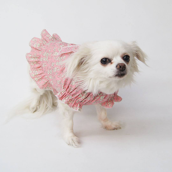 ともママさま専用 ともママ様専用犬服ハンドメイドワンピース