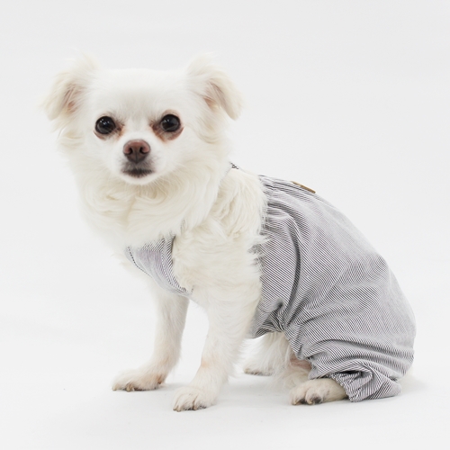 犬服型紙・犬服教室のセレブドッグ直営ECショップ / カボチャパンツ