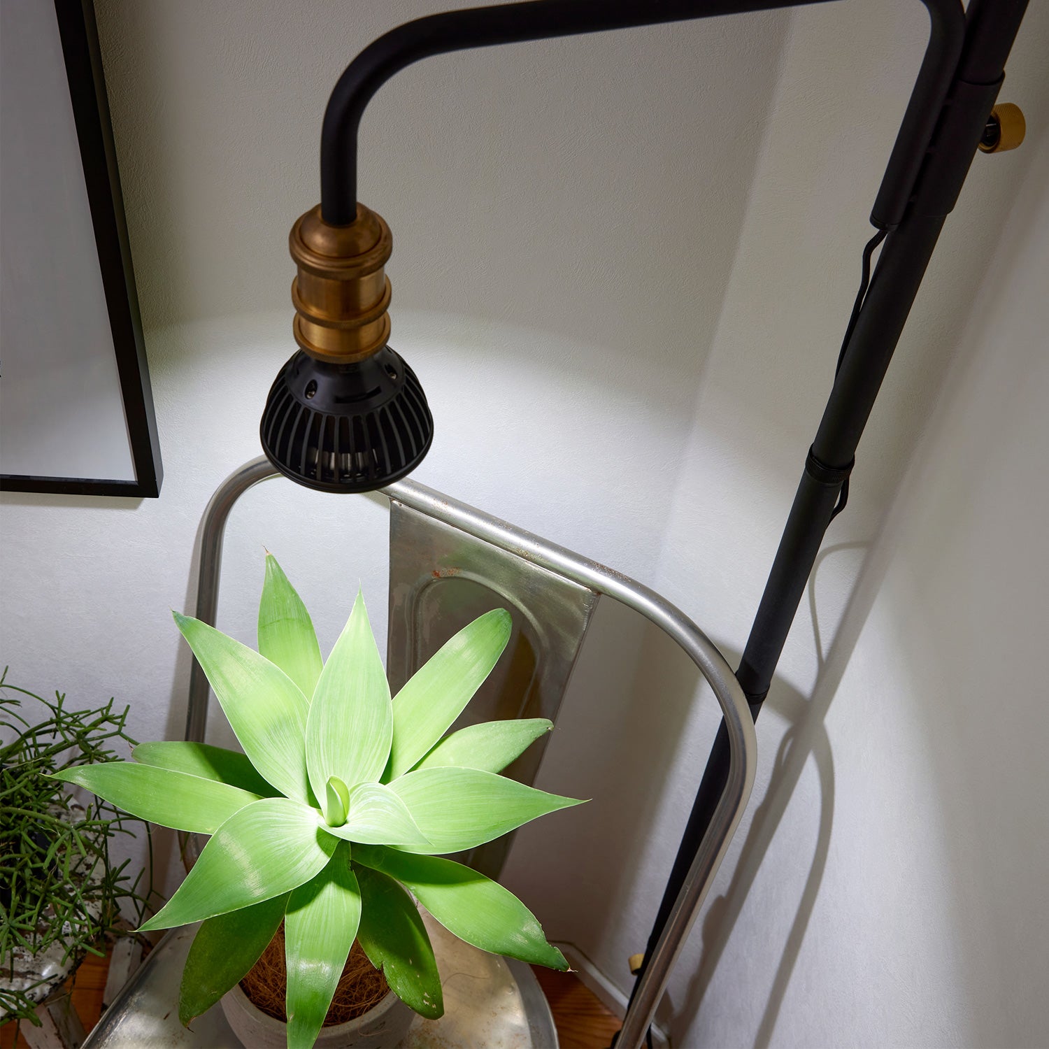 Light Stand SET Black SET-RodC-LampSG-BK｜平安伸銅工業オンライン