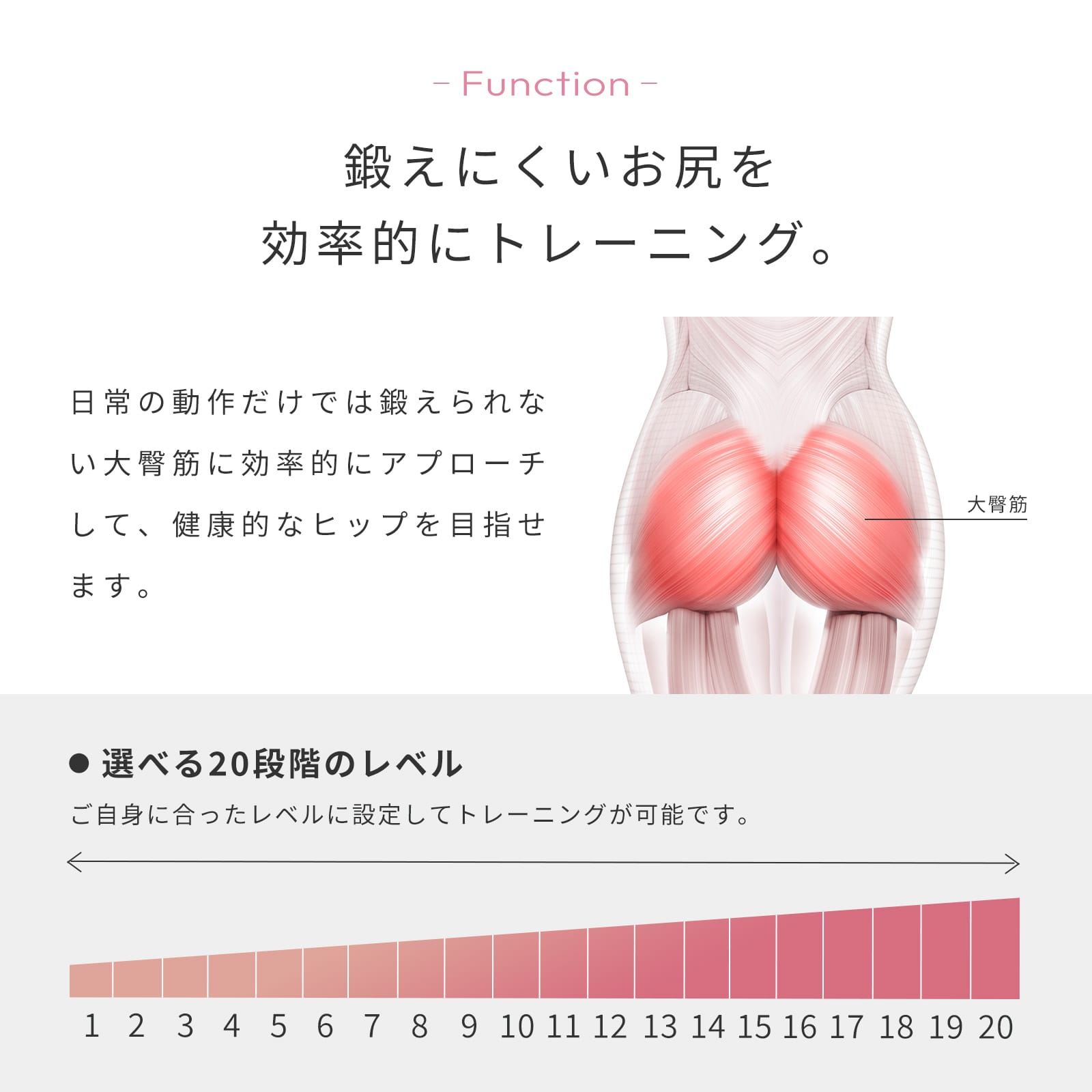 1年保証付きSIXPAD ヒップフィット Mサイズ ピンク シックスパッド