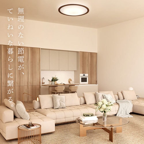 LEDシーリングライト 2個セット 半月使用ホタルクス SLDZ06809NSG LED