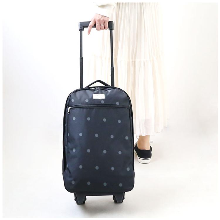 UNISON SQUARE GARDEN ユニゾンスクエアガーデンキャリーケース 本日10