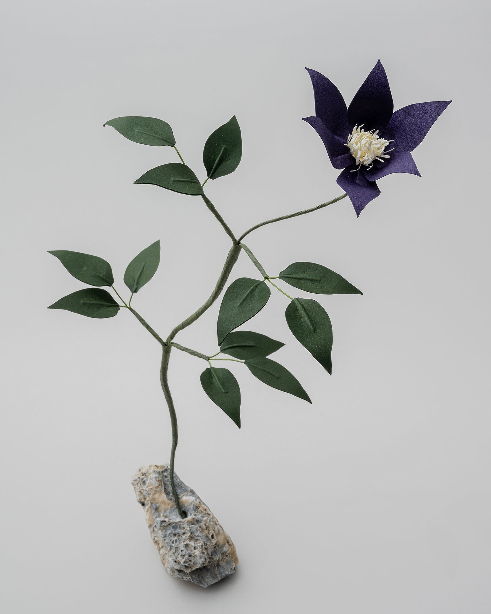 PAPER EDEN – edenworks