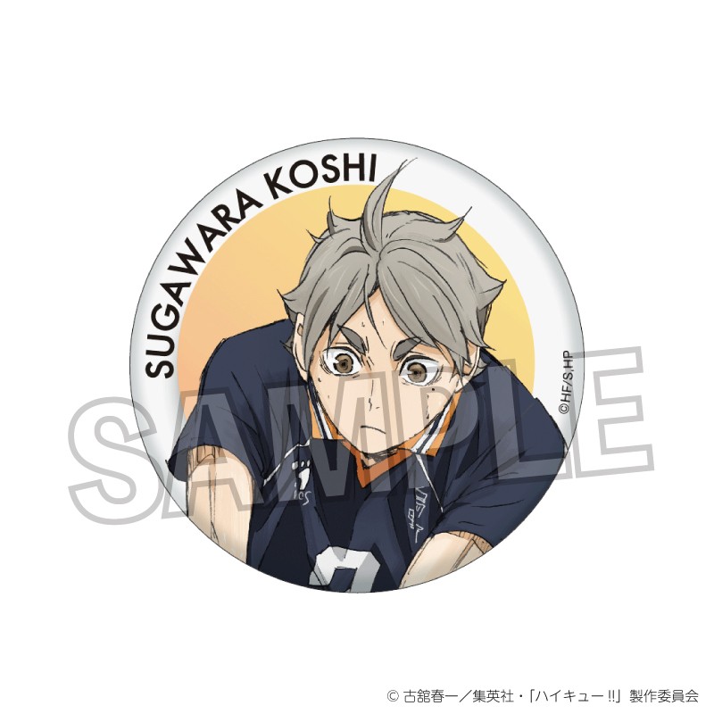 菅原孝支 原作 缶バッジ 23点セット ハイキュー ハイキュー 菅原孝支