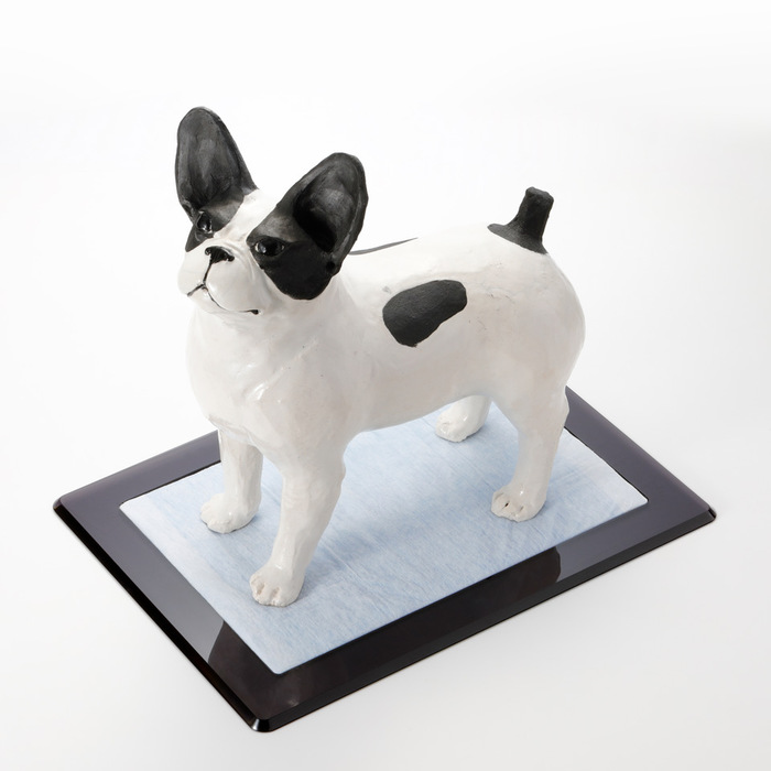 オーダーメイド ペットアクリルトイレ ICHIGOtype ペットアクリル