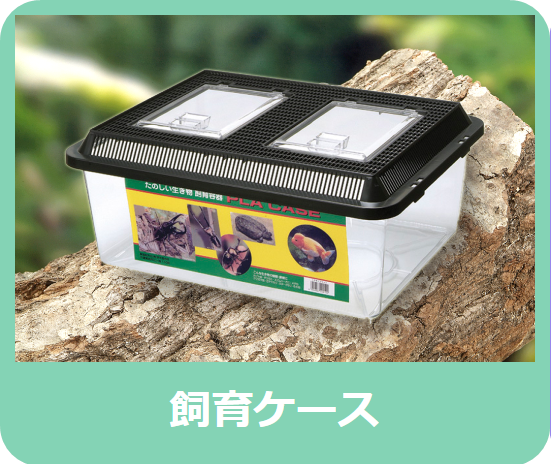 プラケース 特大 フラット - 株式会社ミタニ