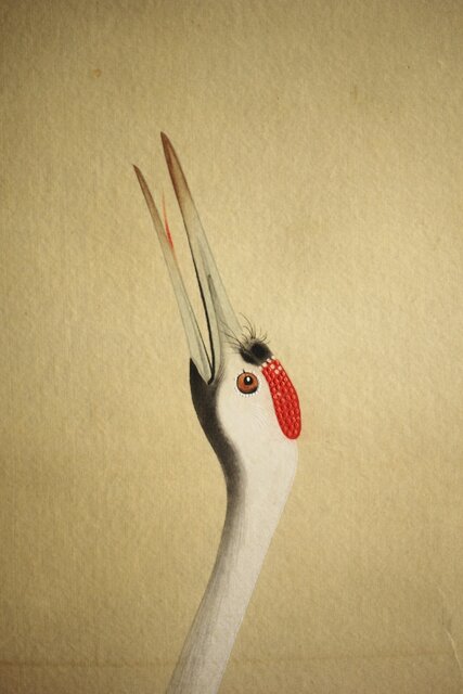 真作】掛軸 双鶴図 逸品 P123 真作】掛軸 双鶴図 逸品 P123