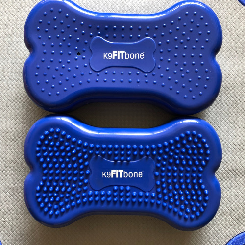 ミニK9FITボーン | 小型犬向けの骨型のバランスボール!子犬からシニア