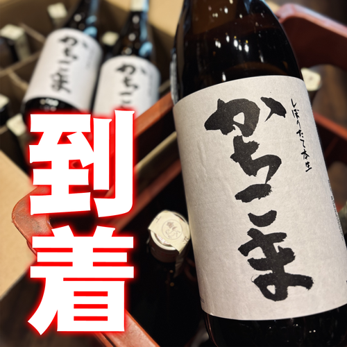 勝駒（かちこま）大吟醸、本仕込 2本セット（720ml）2024年の8〜11月