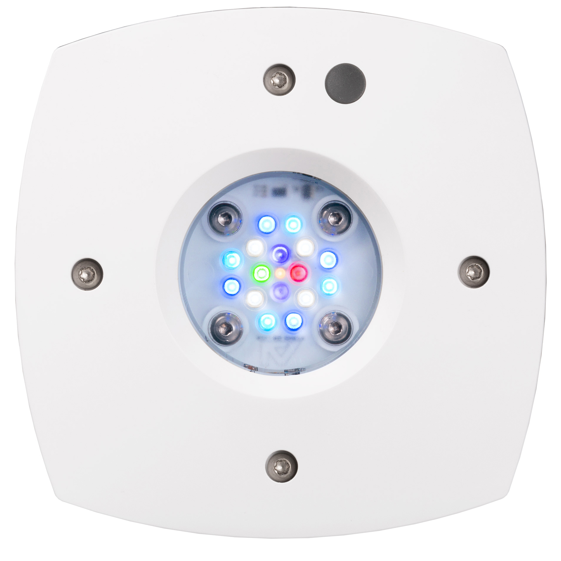 PRIME HD 青色LEDライト