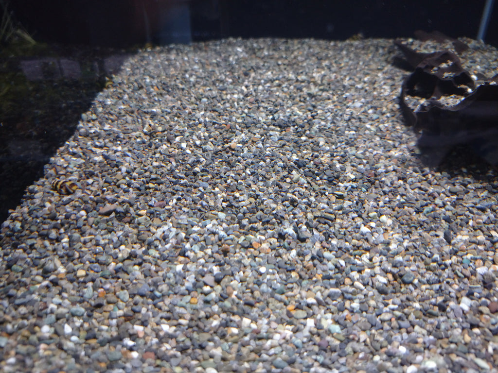 大磯砂 細目 – e-scape online