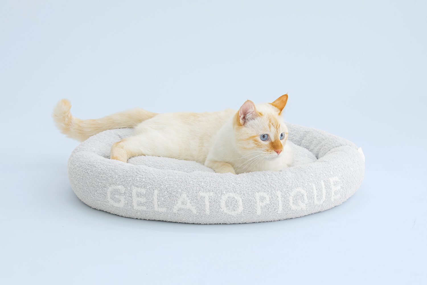 犬・猫用”のジェラート ピケ「GELATO PIQUE CAT＆DOG(ジェラート ピケ