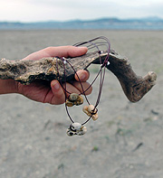 イルカの耳骨｜南房総いいもの屋