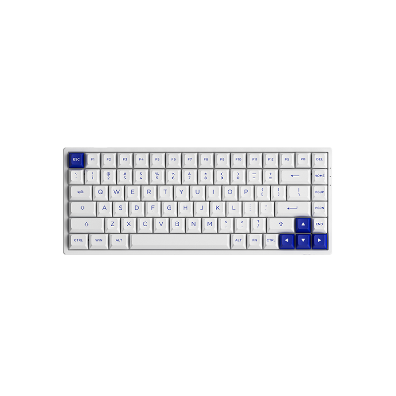 Blue on White 3084B Plus | Akko Official Global Site