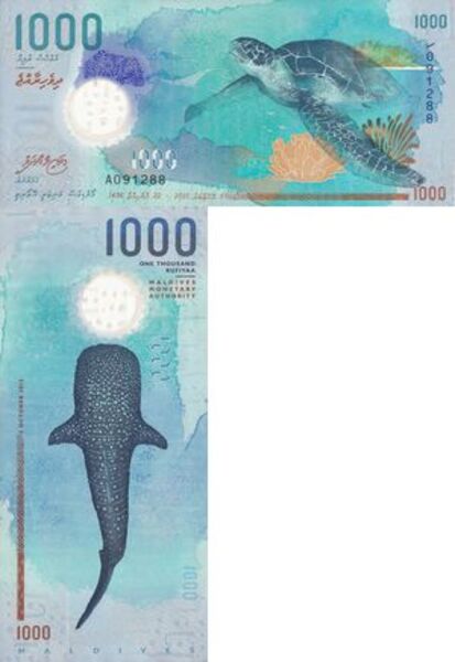 モルディブ 1000ルフィア（MVR）紙幣（海亀・ジンベイザメ