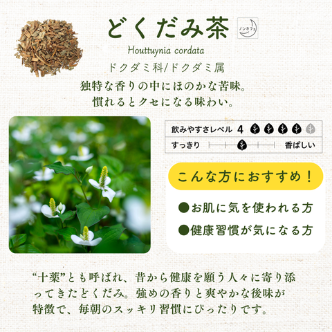 みー画面】#515 乾燥どくだみ どくだみ茶 開花期 2025年産 みー画面