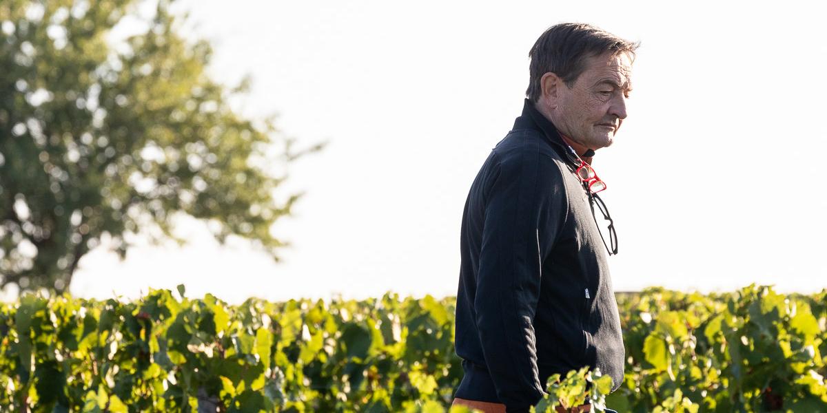 コント・ラフォン ピュリニー・モンラッシェ 2022 Comtes Lafon コント